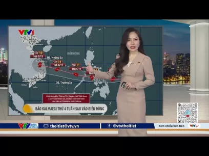 Dự Báo Mưa Bão & Nồm Ẩm Gia Tăng 2025-2026: Tại Sao Máy Tách Ẩm Là Thiết Bị Bắt Buộc Phải Có?